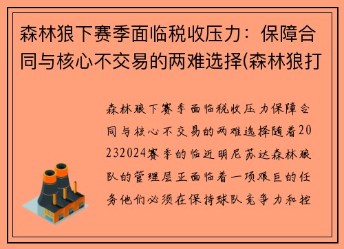 森林狼下赛季面临税收压力：保障合同与核心不交易的两难选择(森林狼打进季后赛)